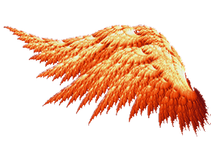 Left wing of Angel