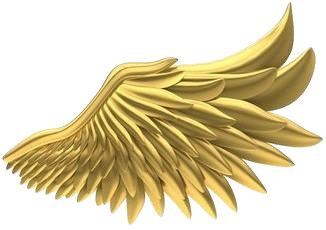 Right wing of Angel